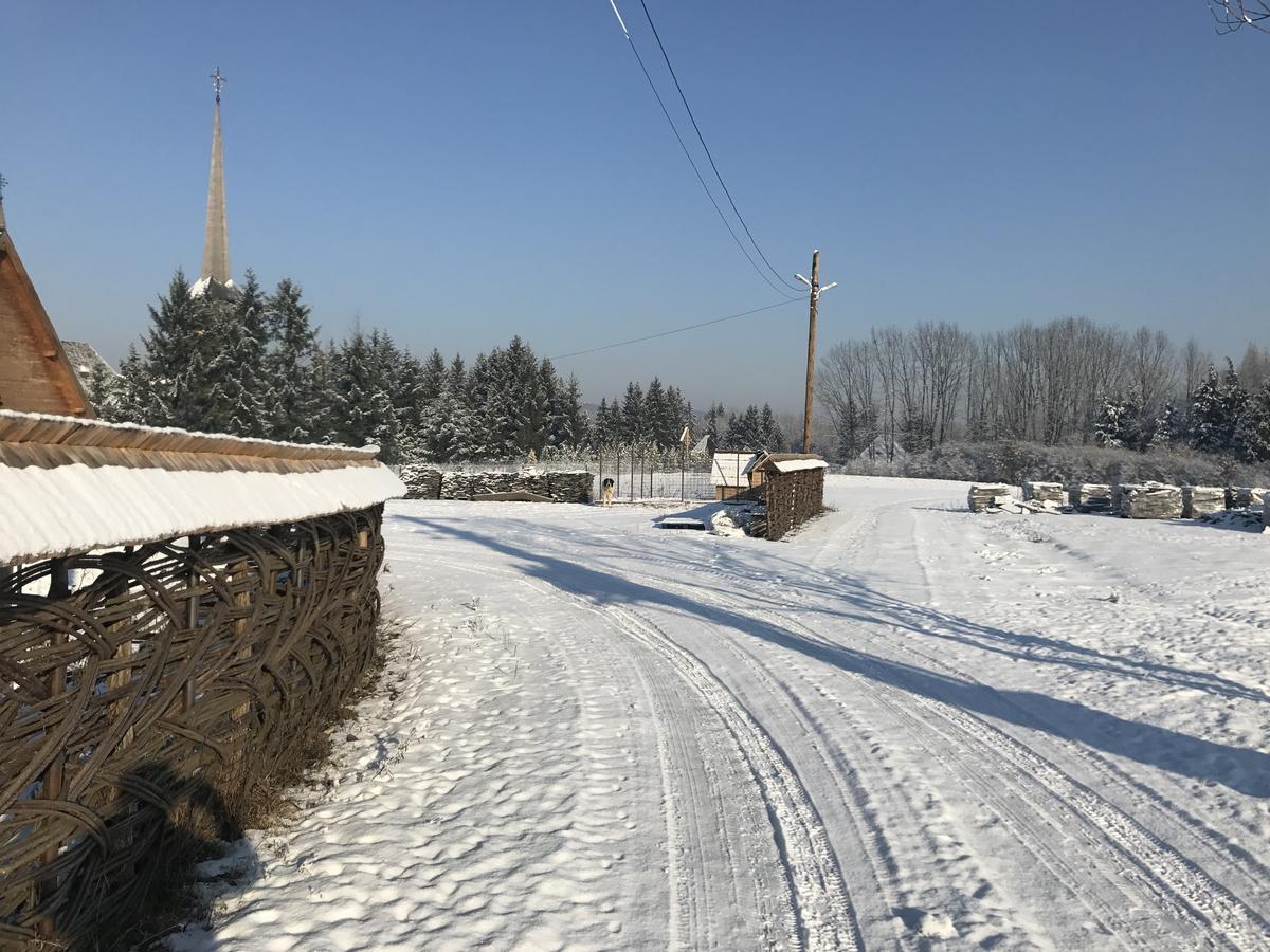 Hotel "Plai Cu Peri" Săpînţa Exterior foto