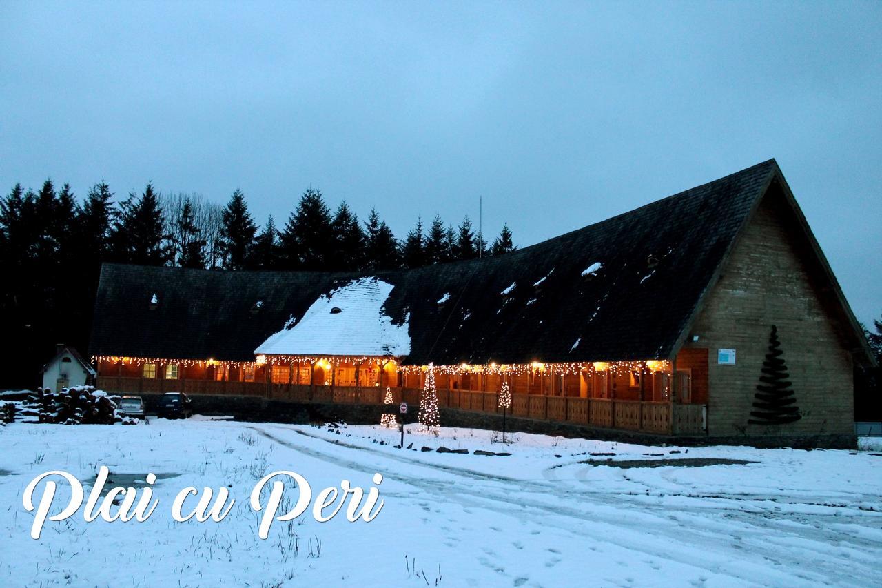Hotel "Plai Cu Peri" Săpînţa Exterior foto